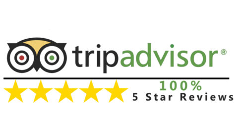 White Pearl Fishing Charters | St. Pete Beach Fishing Charters