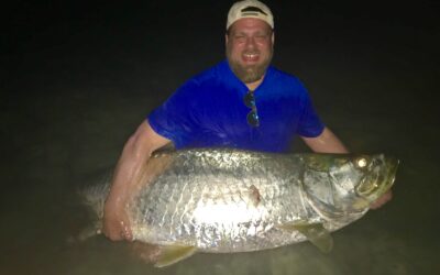 Tarpon Fishing in St. Pete Beach has officially begun!