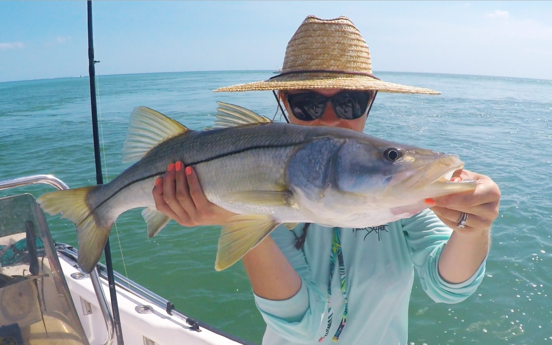 Snook Fishing with Capt Zack's Charters