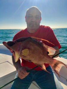 St. Pete Beach Fishing Charter Hogfish