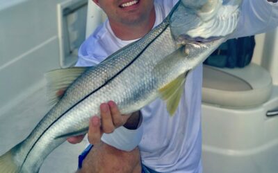 St. Pete Beach Fishing Charter Spring Fishing Report