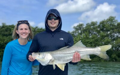 Tampa Bay Fishing Report – Early Summer