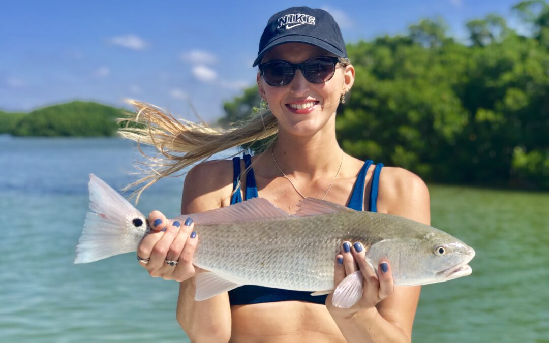 St. Petersburg, Florida fishing charter report – early fall