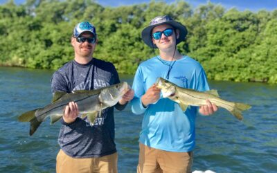 Fall snook fishing in Tampa Bay with White Pearl Fishing Charters