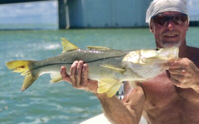 Fall St. Pete Beach Fishing Charter Report