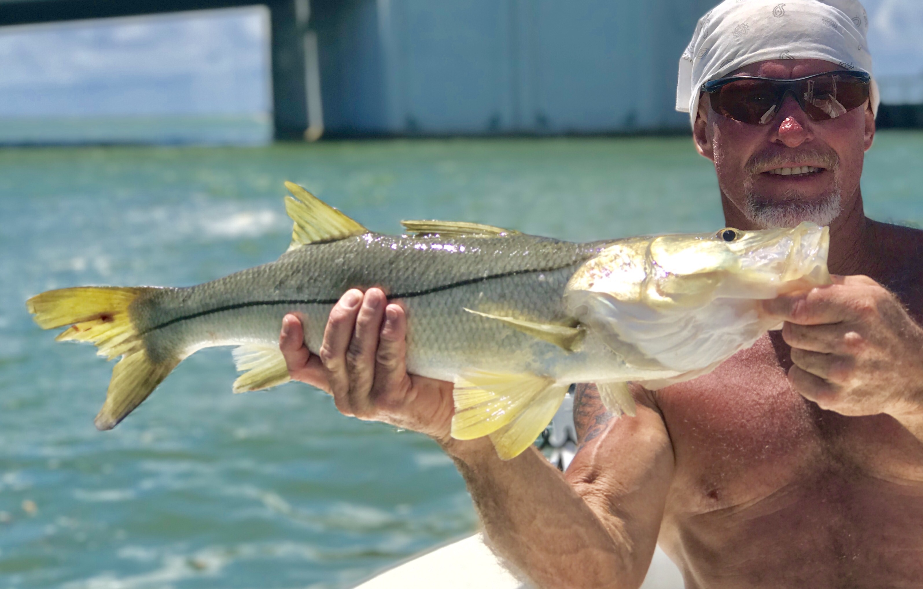 Fall St. Pete Beach Fishing Charter Report White Pearl Fishing Charters