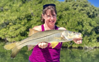 St. Pete Beach early spring snook fishing charter