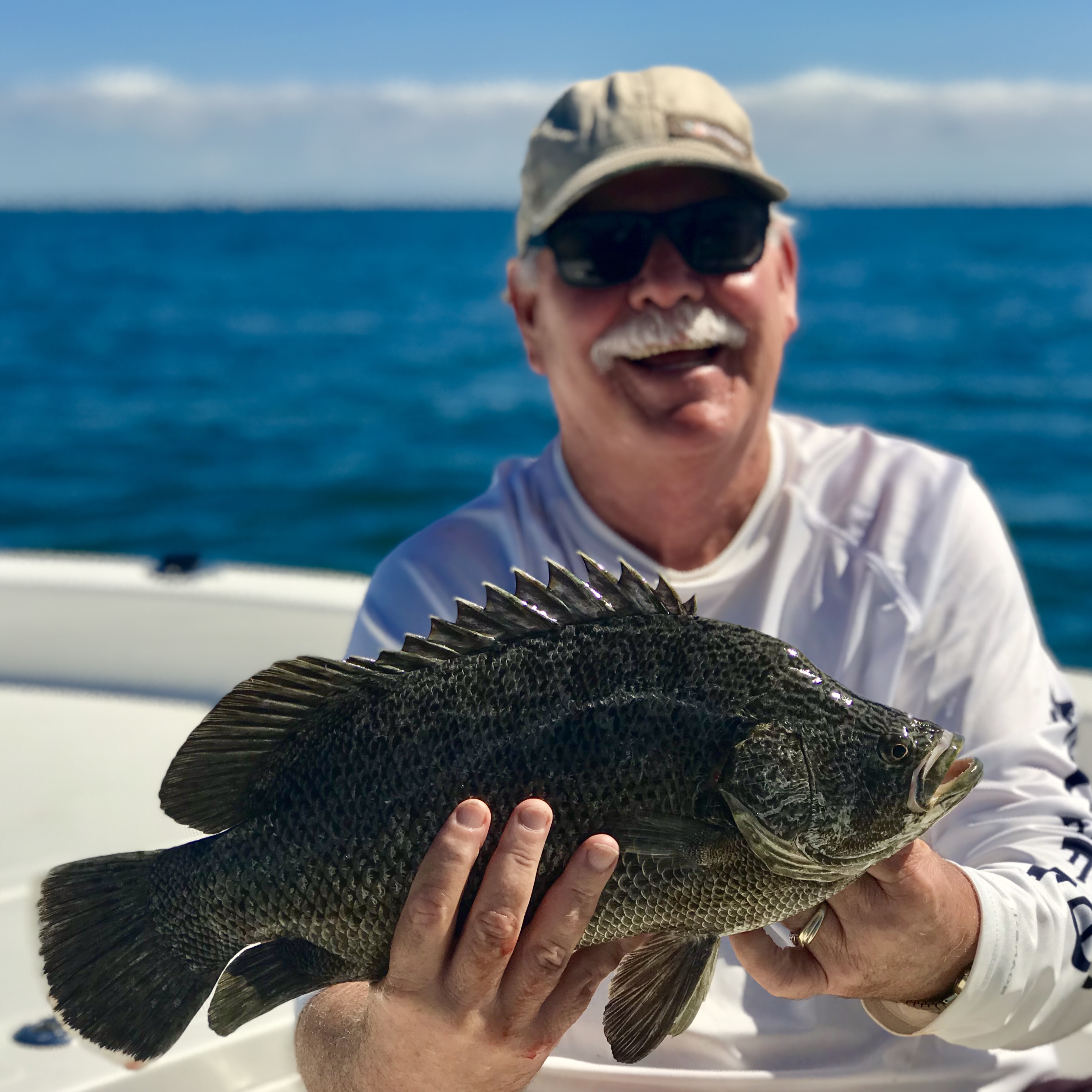 Florida fishing guide - triple tail