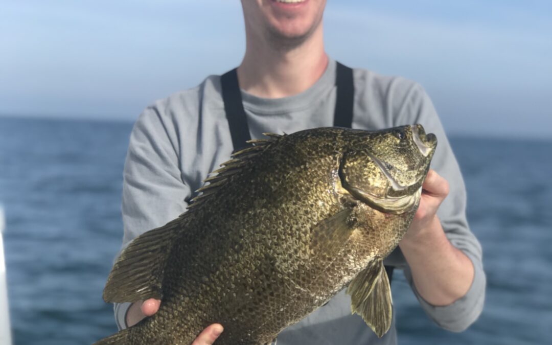 Fun triple tail fishing in the Gulf of Mexico