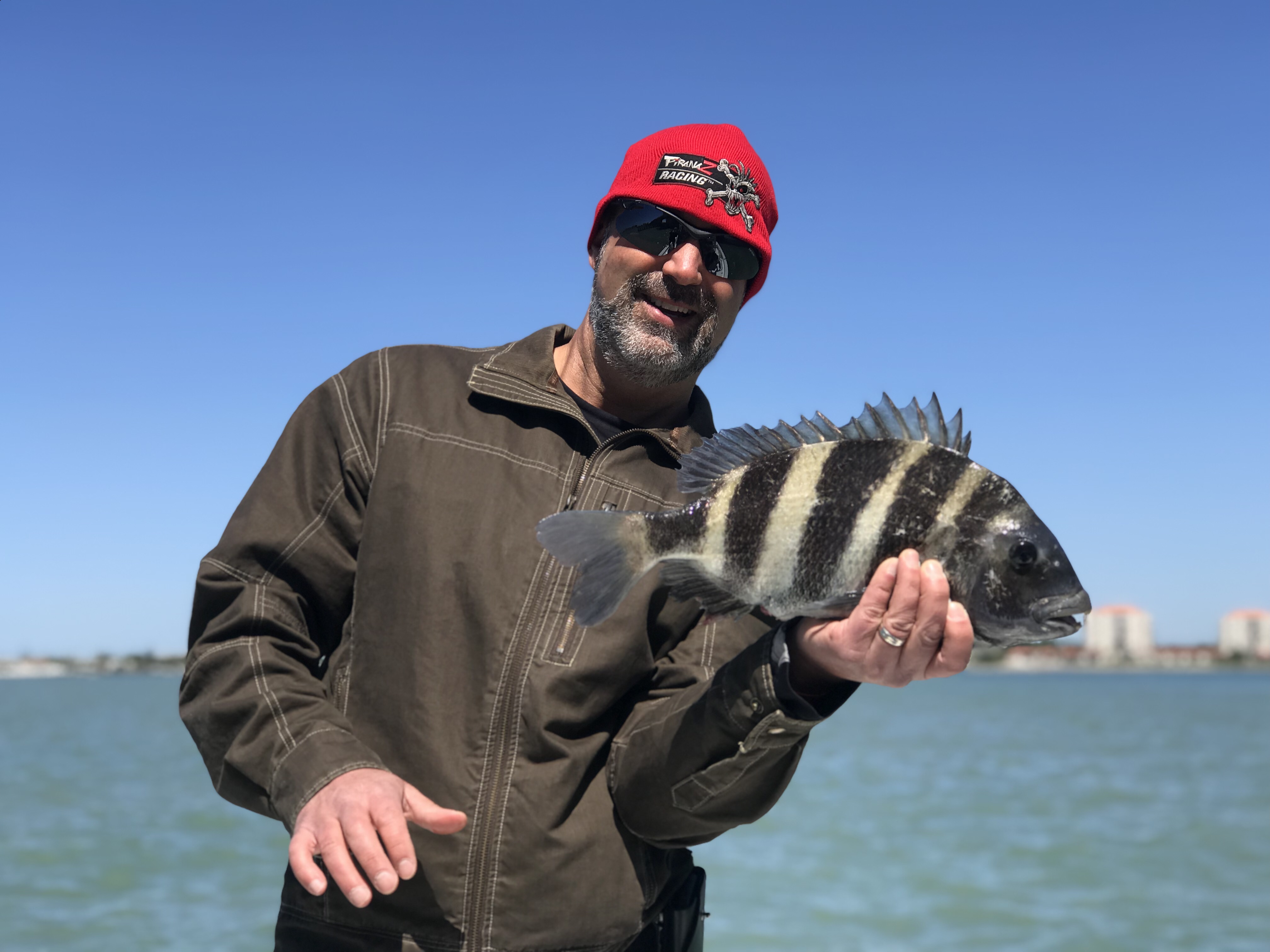 Florida fishing charter - sheepshead 