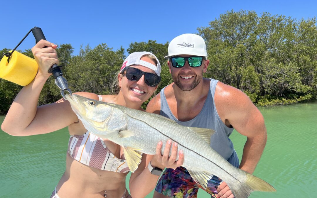 Snook fishing in St. Pete Beach is HOT right now!